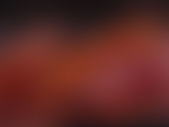 墨西哥鈍口螈（六角恐龍）