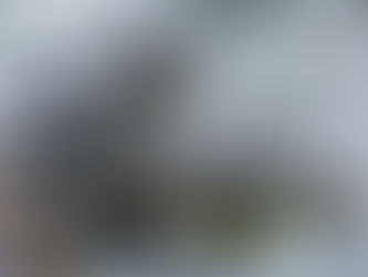 貝加爾湖黑珍珠-貝加爾海豹