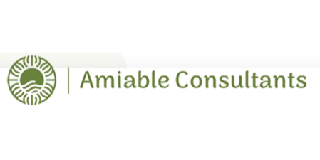 Amiable Consultants Private Limited