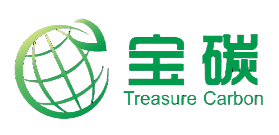 TREASURE CARBON