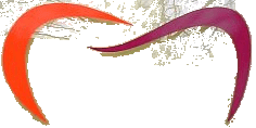 logo-allein-Trans.gif