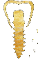 logo-goldTRANS.gif