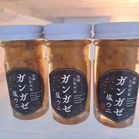 五島産 ウニ（ガンガゼ）｜長崎の美味い食材をお届けします、長崎 産直