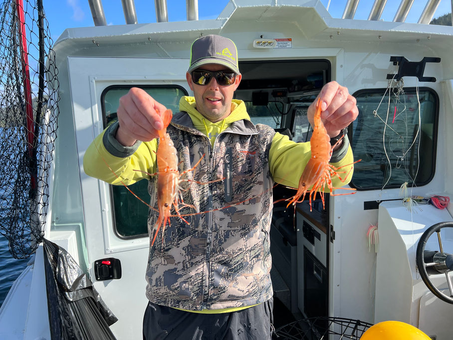 Prawns