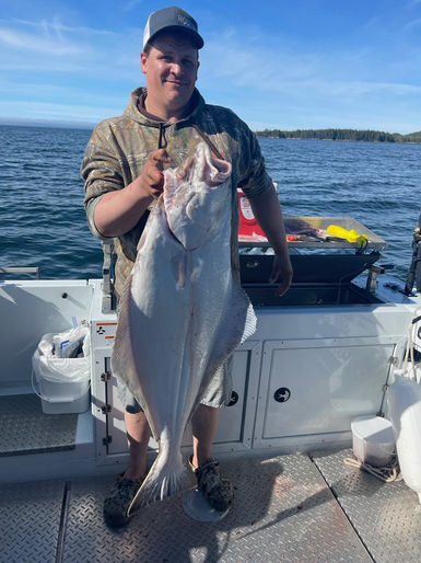 Halibut