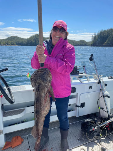 Lingcod