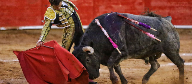 Aguilar a hombros, El Galo y Pedro Llaguno, oreja, en Zacatecas