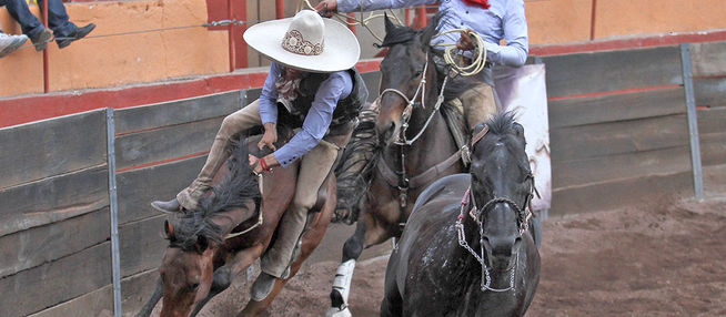 ABREN LAS ACTIVIDADES DE LA ZONA CENTRO DEL ESTATAL DE JALISCO