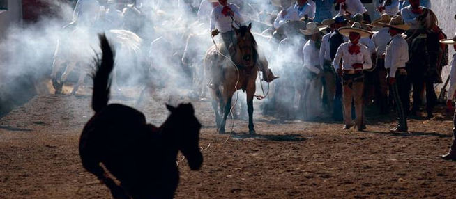 Continúan las acciones del Estatal Zacatecano