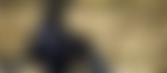 En cateo, SSP y FGR aseguran cartuchería, cargadores para armas de fuego y droga en un domicilio de 