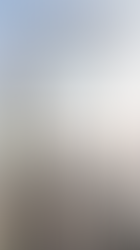 7 Steps to UAE Mainland Company Setup: The Ultimate Guide