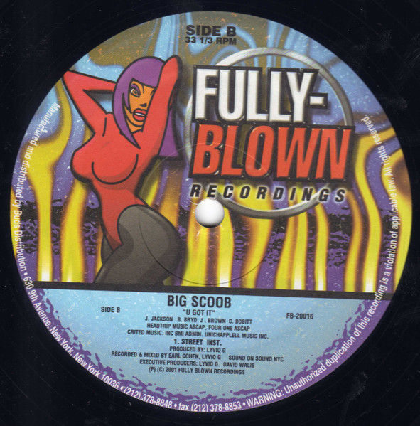 Miniaturbild: Big Scoob - U Got It (2001)