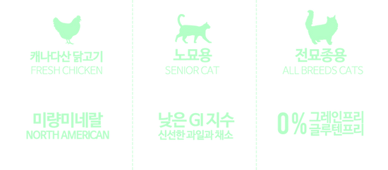CAT_펑셔널_시니어_icon.png