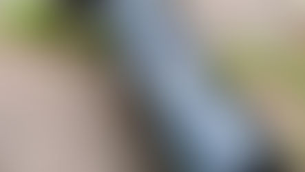 UNE ALTERNATIVE AUX OBJECTIFS MACRO