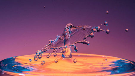 LES PHOTOGRAPHES ET LA COVID-19