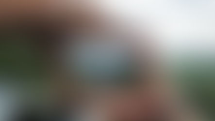 L'ÉCRAN OU LE VISEUR?...