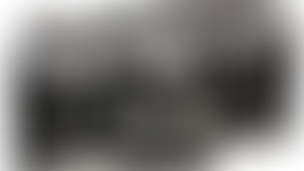 LES IMAGES PANORAMIQUES