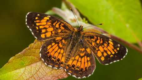 BIEN CHOISIR SON OBJECTIF MACRO