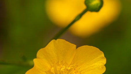 CHERCHEZ ET VOUS TROUVEREZ