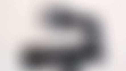 Appareil photo avec flash et extension