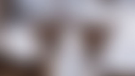 SÉRENDIPITÉ ET PERSÉVÉRANCE