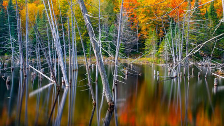 PHOTOGRAPHIER LE PAYSAGE: OÙ PLACER L'HORIZON