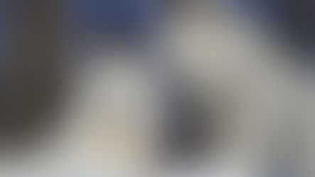 UNE VISITE AU PARC OMÉGA