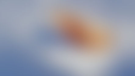 PHOTOGRAPHIER L'HIVER