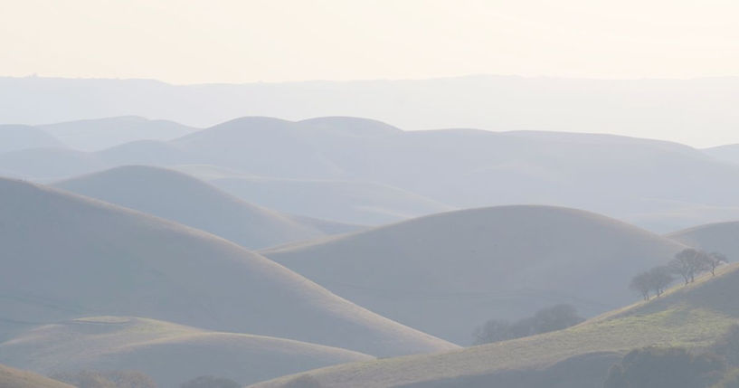 Homepage banner photo.jpg