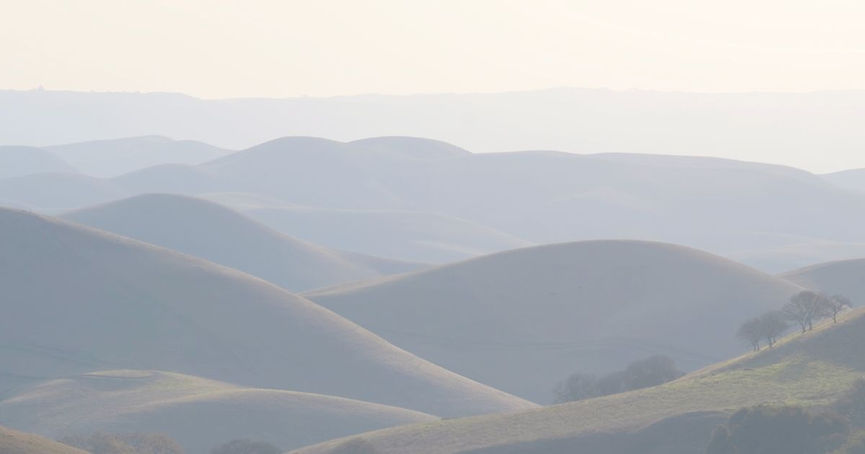 Homepage banner photo.jpg