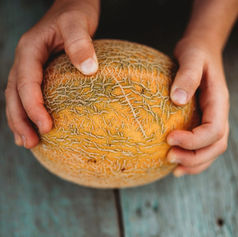 Ripe Hales Melon