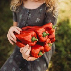 marconi peppers