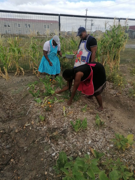 WhatsApp Image 2022-02-10 at 11.32.25 AM.jpeg