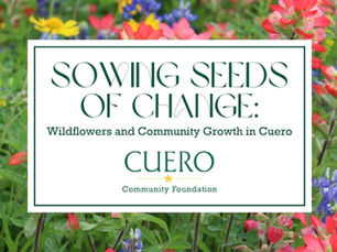 Sowing Seeds of Change: Wildflowers and Community Growth in Cuero
