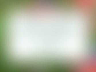 Sowing Seeds of Change: Wildflowers and Community Growth in Cuero