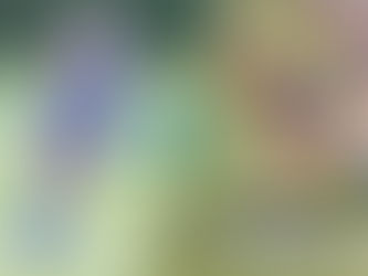 Felch & Hopkins named to Victory Sports Tours/NFHCA Senior Game Roster