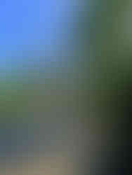 Gingoog City Diversion Road