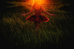 Notarius Photography-0222