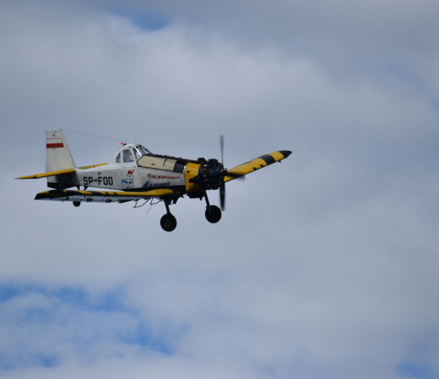 DSC_0435.JPG