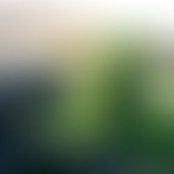 ¿Cómo elegir una universidad en Alemania?