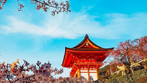 7 Train Trips to discover Japan
