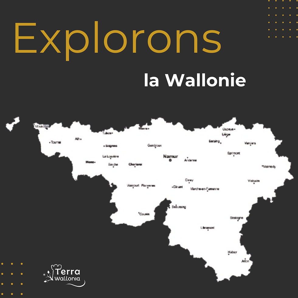 Explorons la Wallonie - Partie 2 