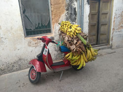 IMG_20180904_083252504