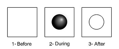 Tridimensional perception.jpg