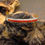 Thumbnail: *Zuni Sterling Silver Coral Inlay Cuff By Jessica Chavez