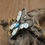 Thumbnail: Vintage Zuni Sterling Silver Multi-Stone Inlay Butterfly Pin