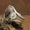 Thumbnail: *Southwest Sterling Silver and Petrified Wood Cuff Bracelet