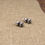 Thumbnail: Spectacular Handmade Hand-Stamped Sterling Silver Bead Necklace Set
