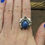 Thumbnail: Sterling Silver Lapis Lazuli Ring Size 9