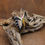 Thumbnail: Lovely Vintage Sterling Silver Inlaid Butterfly Pin/Pendant